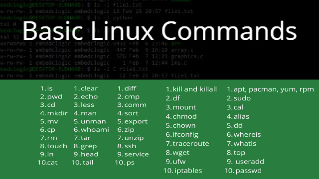 Basic Linux Commands to Get You Started Basic Linux Commands to Get You Started
