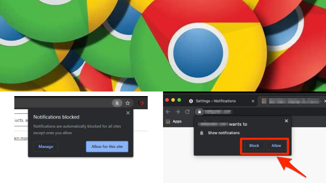 Reviewing Blocked Notifications and Permissions Reviewing Blocked Notifications and Permissions