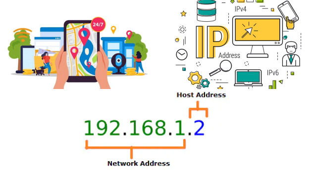 What Are IP Addresses and Why Are They Important? What Are IP Addresses and Why Are They Important?