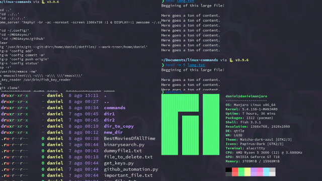 Networking Commands Networking Commands
