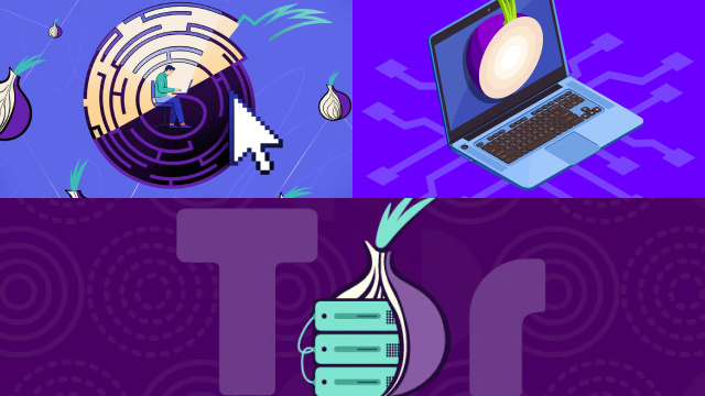Onion over VPN vs. Traditional VPNs Onion over VPN vs. Traditional VPNs